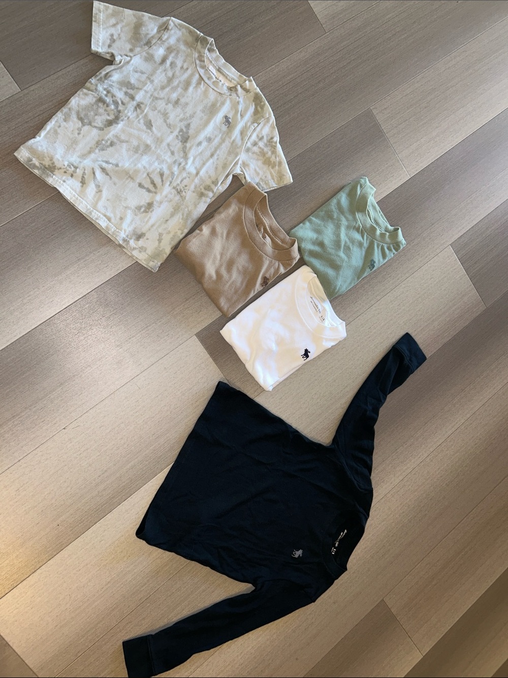 Abercrombie Kids Neutral Tees & Long Sleeve Set